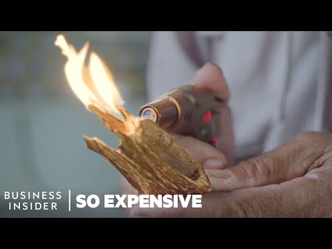 Why Agarwood Is So Expensive | So Expensive