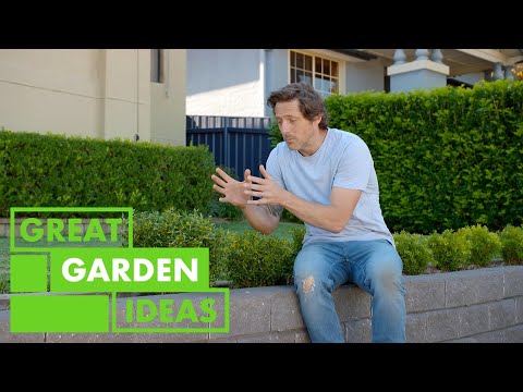 Everything to Know About Planting a Hedge | GARDEN | Great Home Ideas