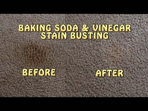 Baking Soda & Vinegar Carpet Stain Busting!!!