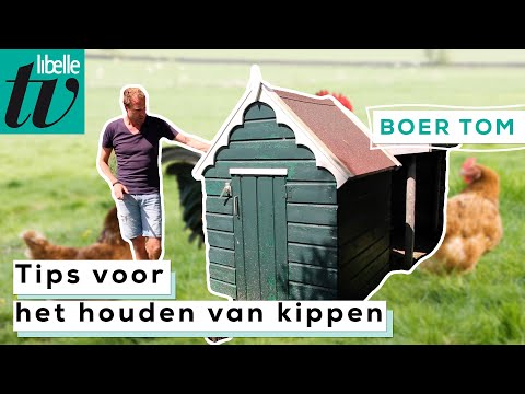 Mag Je Kippen Houden In Je Tuin? Ontdek De Regels En Voordelen!