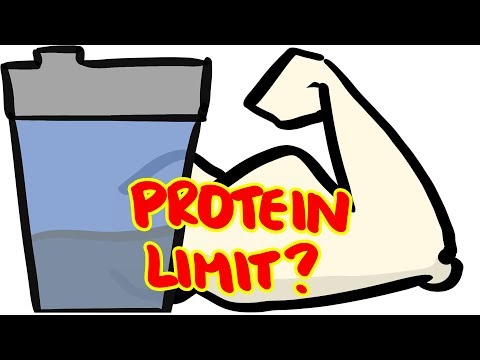 How Much Protein Can Your Body Absorb Per Meal?