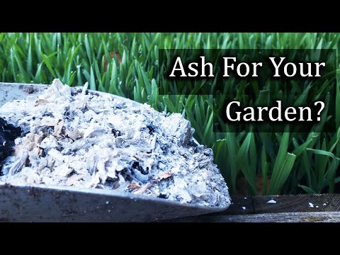 Is As Goed Voor De Tuin: Een Wondermiddel Voor Groene Resultaten