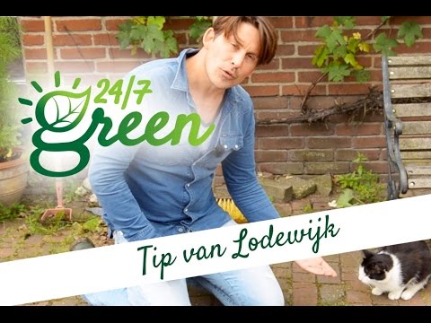 Hoe Hou Je Katten Uit Je Tuin: Effectieve Methoden En Tips