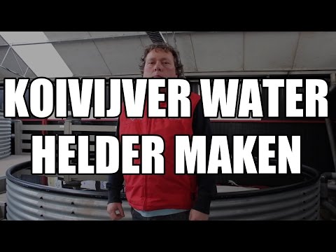 Water van Koivijver helder maken ?