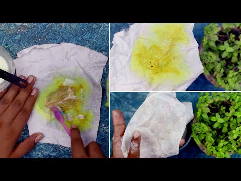 Best way to remove dried curry stains from clothes   Cleaning solutions