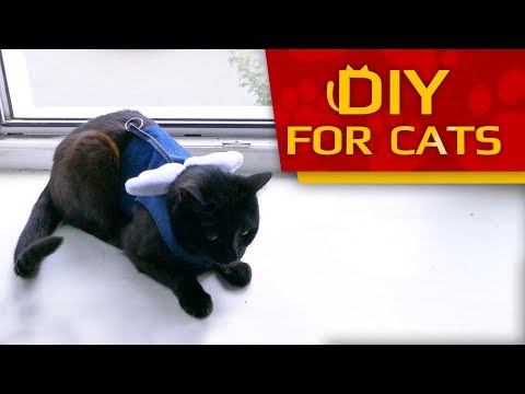 DIY 🐈 - How to make Cat Harness - Easy & Fast (REUPLOAD)