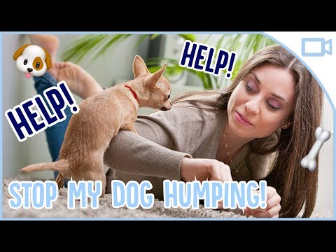 How to Stop Your Dog Humping!