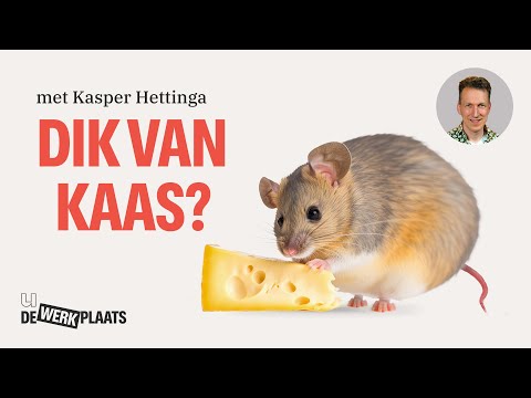 Is kaas echt zo slecht voor je?