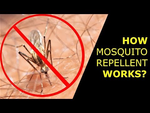 What is DEET? How Mosquito Repellent Works