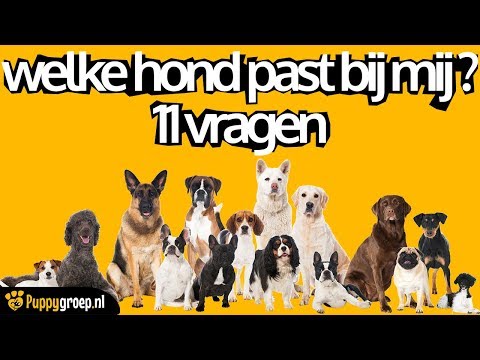 WELKE HOND PAST BIJ MIJ? #11