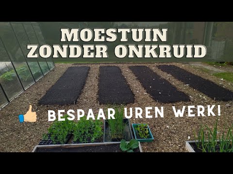 Moestuin zonder onkruid