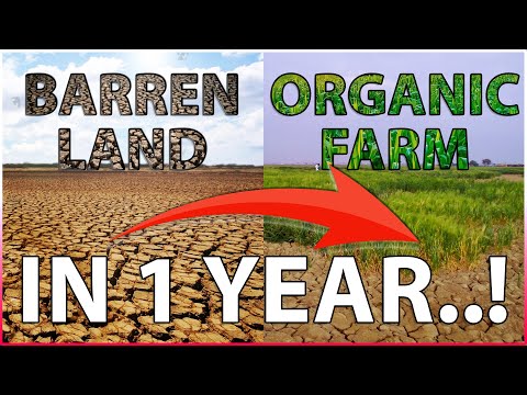 How to Transform Barren Land into an Organic Farm in Just 1 Year!