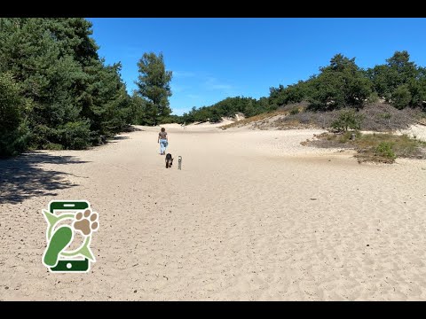 Losloopgebied loonse en drunense duinen biezenmortel